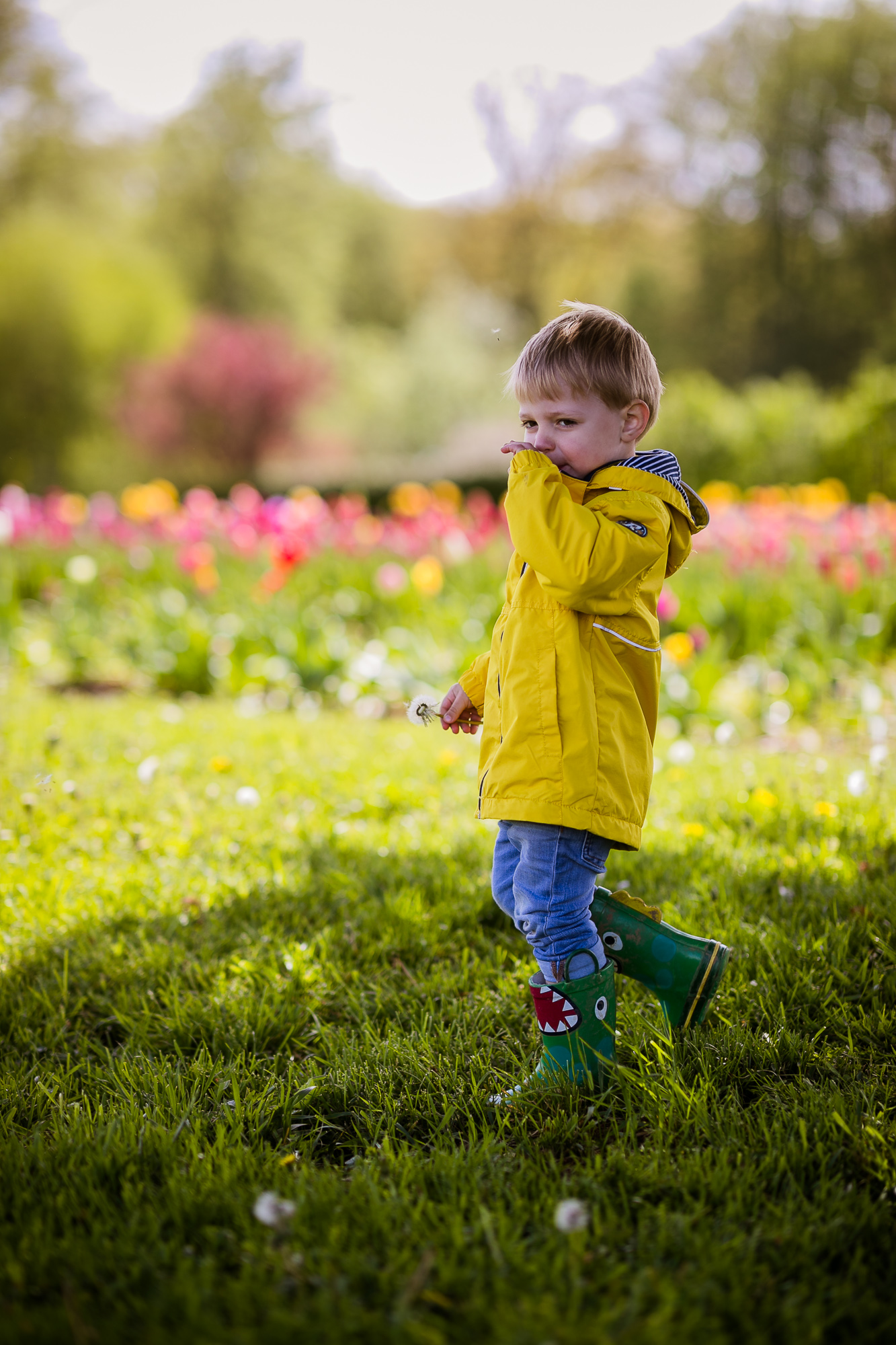 Export x3 1DX28278 Familienfotoshooting 2019 Hefti